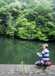 釣行レポート