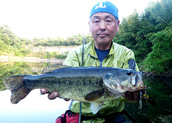 釣行レポート