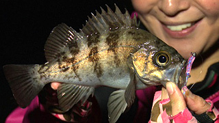 釣行レポート