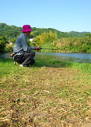 釣行レポート