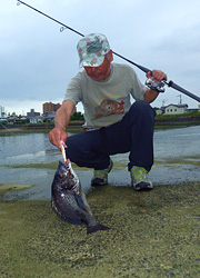 釣行レポート