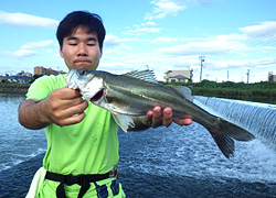 釣行レポート