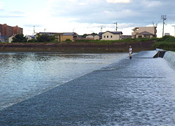 釣行レポート