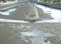 釣行レポート