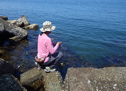 釣行レポート