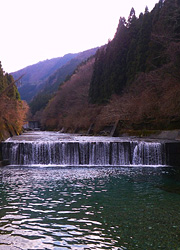 釣行レポート