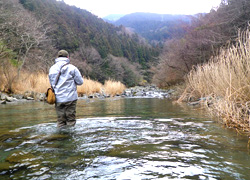 釣行レポート