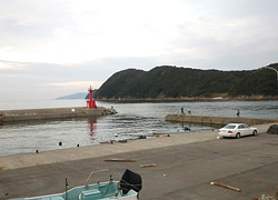 釣行レポート