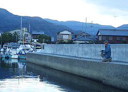 釣行レポート