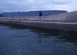 釣行レポート