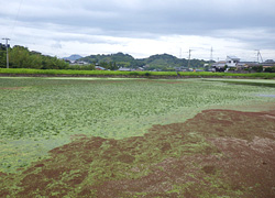 釣行レポート