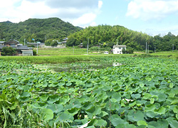 釣行レポート