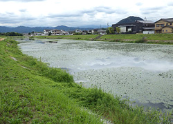 釣行レポート