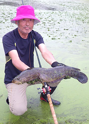 ライギョハンティング 19年8月10日 9月24日 釣行レポート 釣行記 ユニチカフィッシングランド 釣行レポート 釣行記 ユニチカフィッシングランド