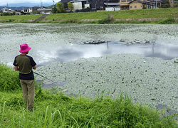 釣行レポート