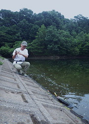 釣行レポート