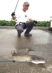 釣行レポート