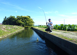 釣行レポート