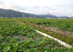 釣行レポート