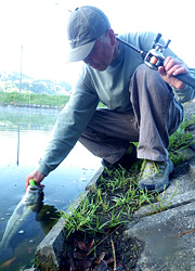 釣行レポート