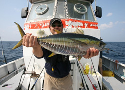 ソルトルアー釣行記