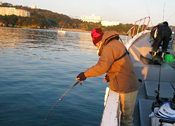 ソルトルアー釣行記