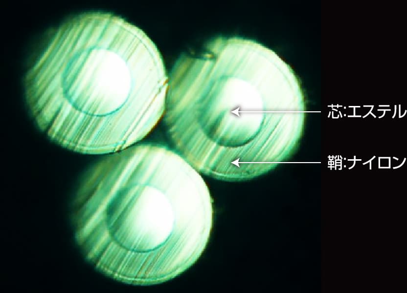 芯鞘構造断面