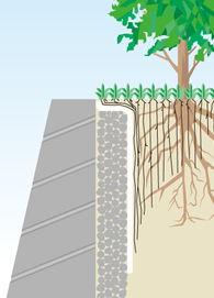 基礎壁への根の侵入防止