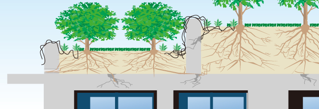屋上庭園のコンクリートへの根の侵入防止