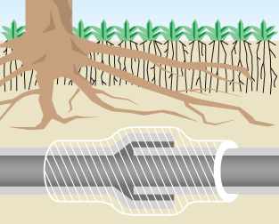 排水管接続部への根の侵入防止