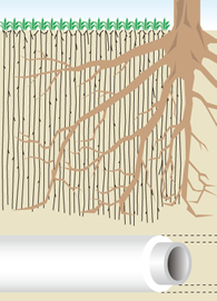 Control of the entry of roots into underground pipes