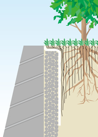 Control of the entry of roots into foundation walls