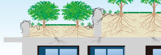 Control of the entry of roots into the concrete below a rooftop garden