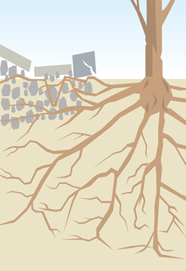 Control of unevenness in a paved road caused by roots of roadside trees