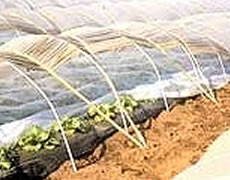 ELEVES for agricultural usage